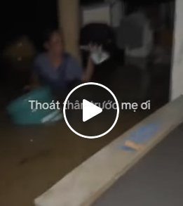 Clip chàng trai Bắc Ninh bỏ hết tài sản, chỉ kịp gọi giục mẹ rồi ôm mèo chạy lũ gây sốt MXH