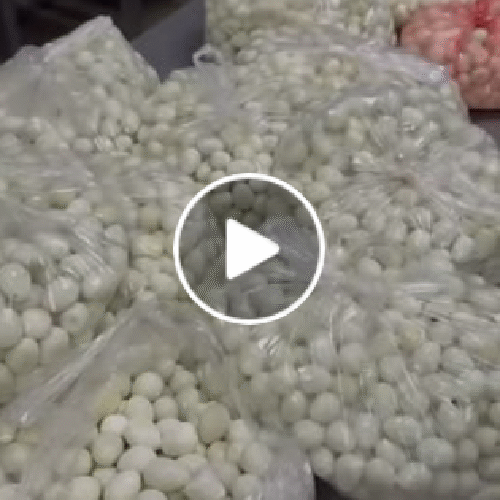 Lãnh đạo TP Hà Nội yêu cầu xử lý nghiêm vụ thực phẩm ôi thiu tại Trường Tiểu học Cự Khê