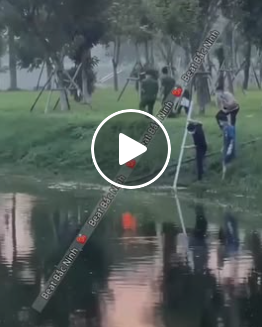 VIDEO TOÀN CẢNH : Vơ’t thithe ở Hồ Điều Hoà – Bắc Ninh