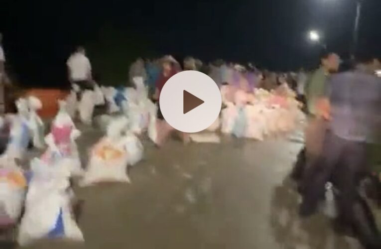 BẮC NINH: Đê Qua Đẩu Hàn, Hoà Long ngay lúc này