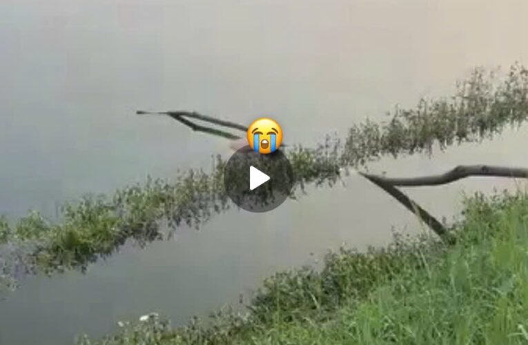 VIDEO KHONG CHE: TOÀN CẢNH HIỆN TRƯỜNG vụ việc tại Hồ Điều Hoà, Bắc Ninh