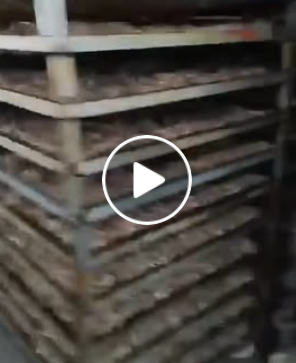 VIDEO TOÀN CẢNH : thực hư vụ việc tại Hoàng Vân – Bắc Ninh