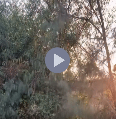 VIDEO TOÀN CẢNH: Cân nhắc khi xem