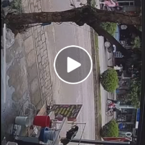 VIDEO KHONG CHE: Toàn cảnh sự việc