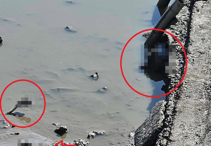 ẢNH KHONG CHE: Yếu tym không nên xem