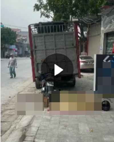 VIDEO TOÀN CẢNH