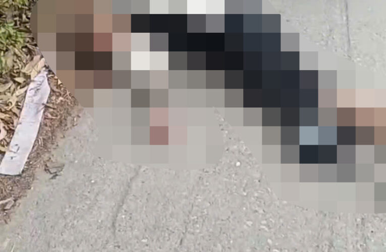 TOÀN CẢNH HIỆN TRƯỜNG