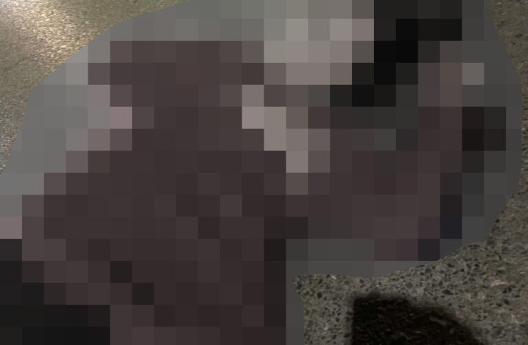 ẢNH KHONG CHE: Tìm người nhà gấp