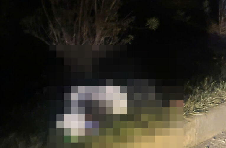 TOÀN CẢNH HIỆN TRƯỜNG