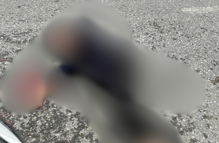 ẢNH KHONG CHE: Tìm ng nhà gấp