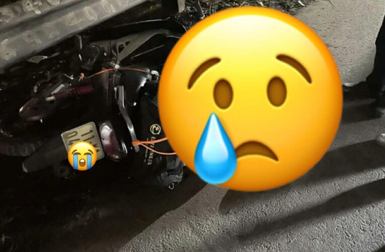 TOÀN CẢNH HIỆN TRƯỜNG