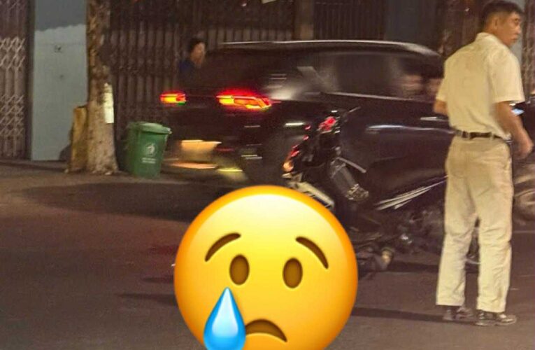 TOÀN CẢNH HIỆN TRƯỜNG