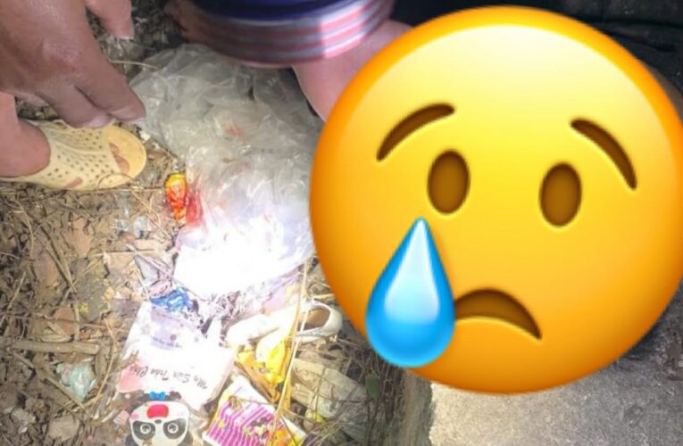 TOÀN CẢNH HIỆN TRƯỜNG