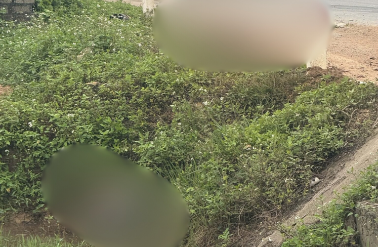 ẢNH KHONG CHE: Cân nhắc khi xem