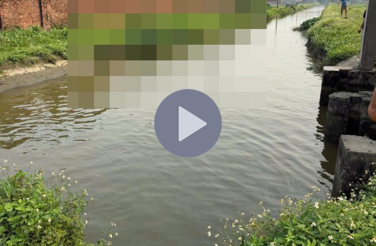 VIDEO TOÀN CẢNH HIỆN TRƯỜNG