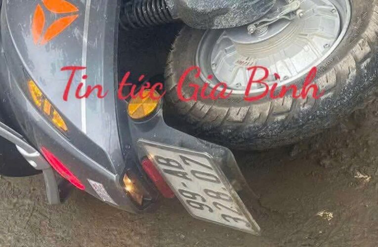 TOÀN CẢNH HIỆN TRƯỜNG